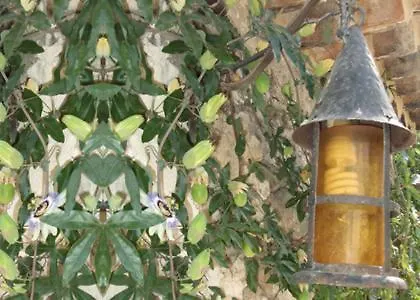 Mas Bella Cortis Bed & Breakfast La Garde Adhemar France