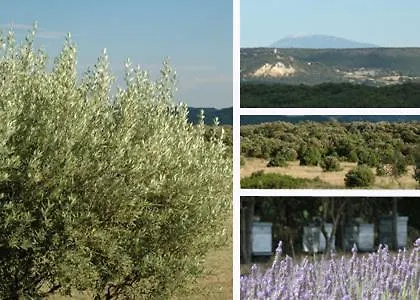 Mas Bella Cortis Bed & Breakfast La Garde Adhemar 0*,
